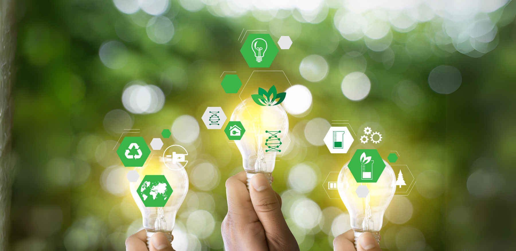 Eco-Friendly Technology - Syngosoft